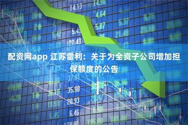 配资网app 江苏雷利：关于为全资子公司增加担保额度的公告