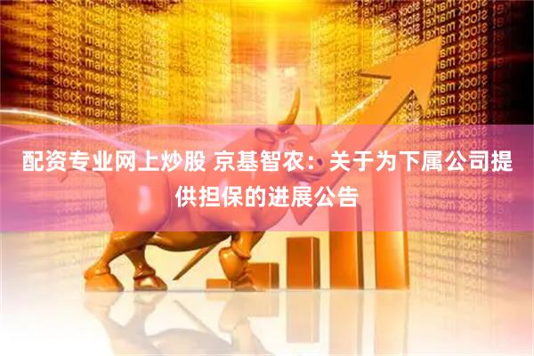 配资专业网上炒股 京基智农：关于为下属公司提供担保的进展公告