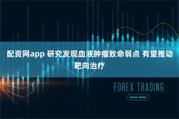 配资网app 研究发现血液肿瘤致命弱点 有望推动靶向治疗