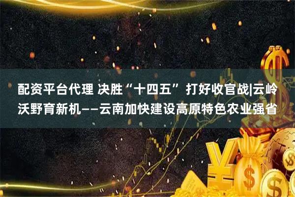配资平台代理 决胜“十四五” 打好收官战|云岭沃野育新机——云南加快建设高原特色农业强省